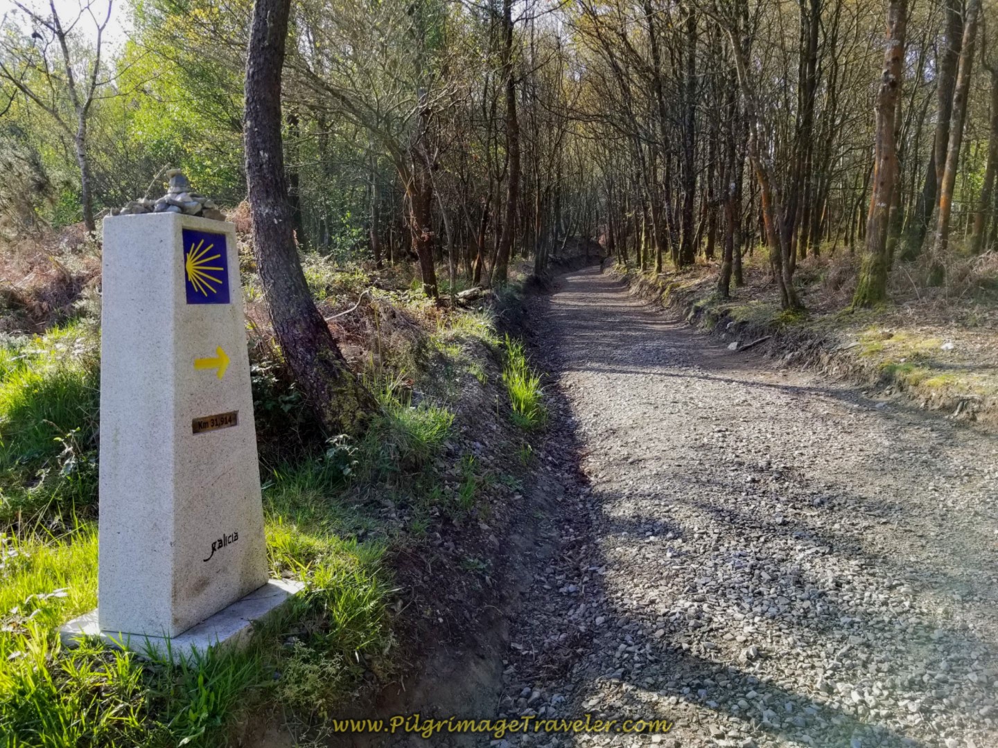 Pass 31.9 Kilometer Marker on day seven of the Camino Inglés