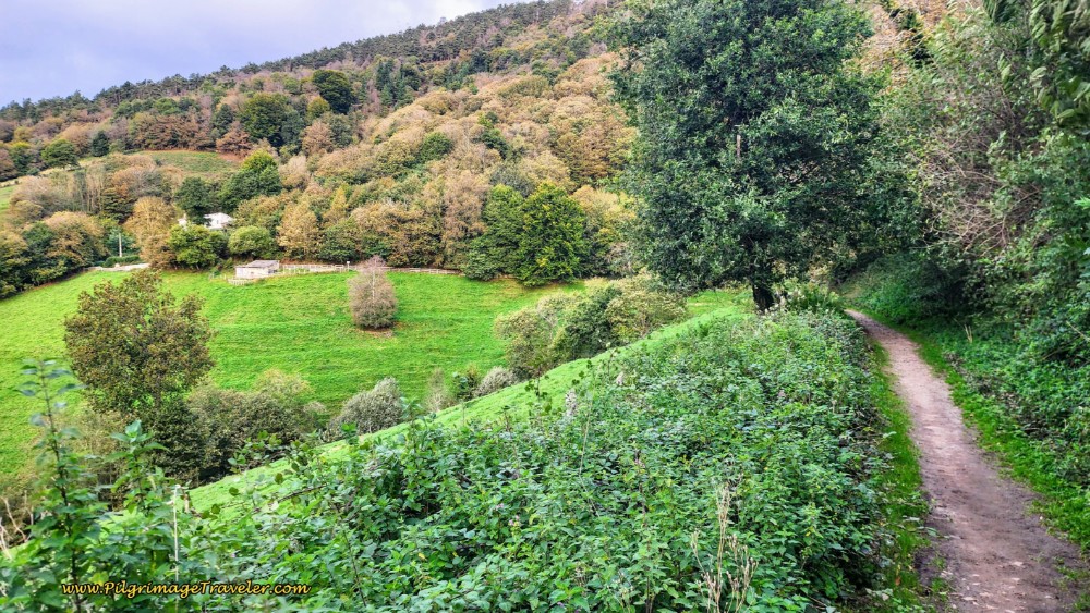 Leave Pavement for Path, 12.5 Km
