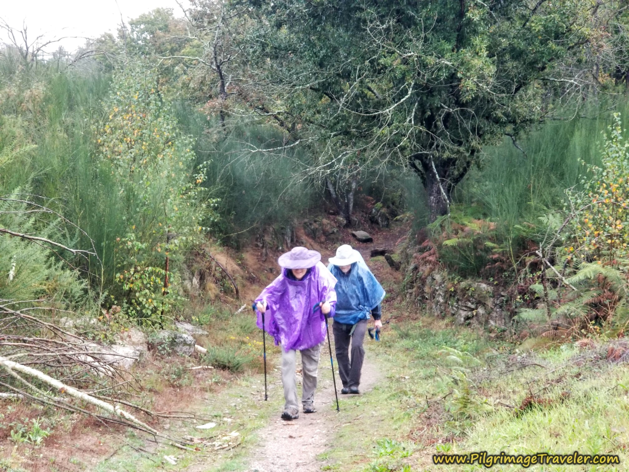 Nadine and Norm Negotiate the Hill