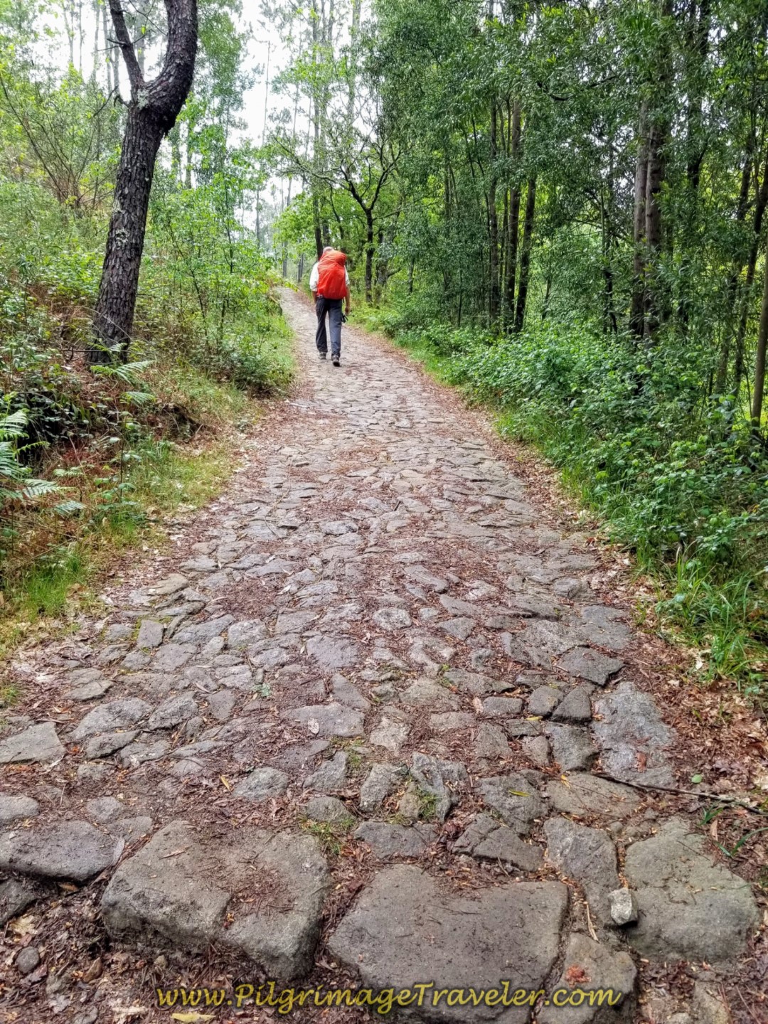 Authentic cobblestone on day eighteen on the Central Route of the Portuguese Camino