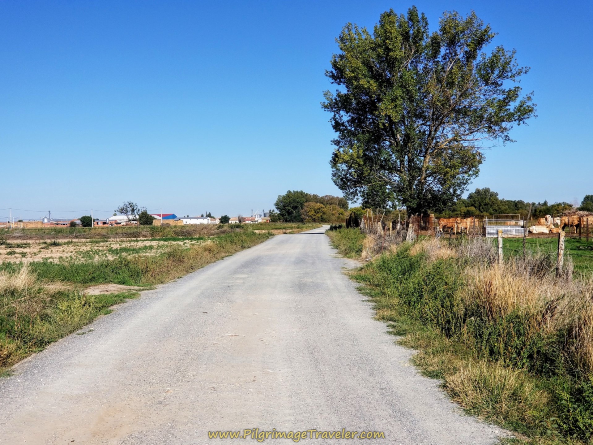 Tordillos Just Ahead