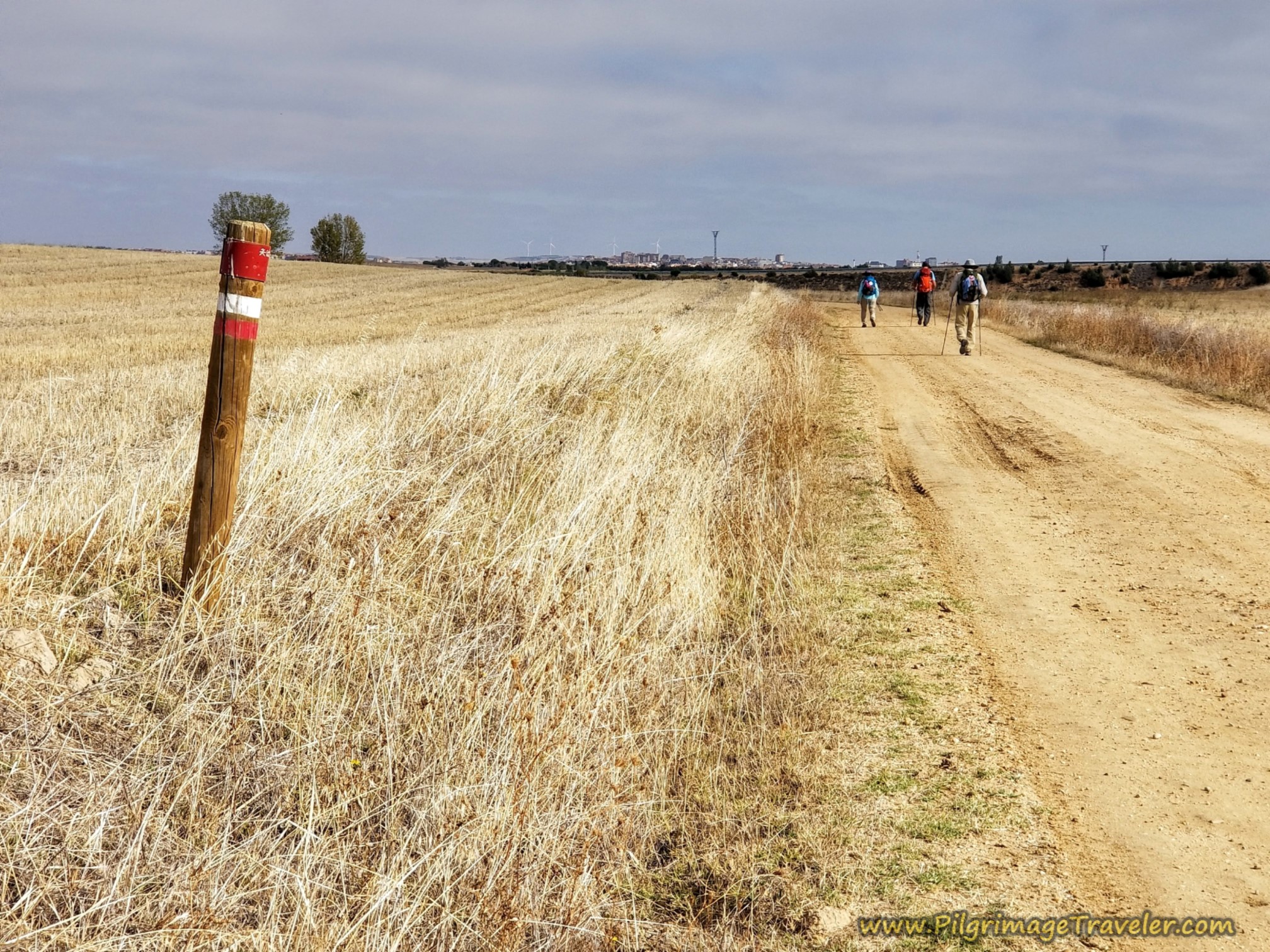 Zamora Getting Closer Zamora Getting Closer