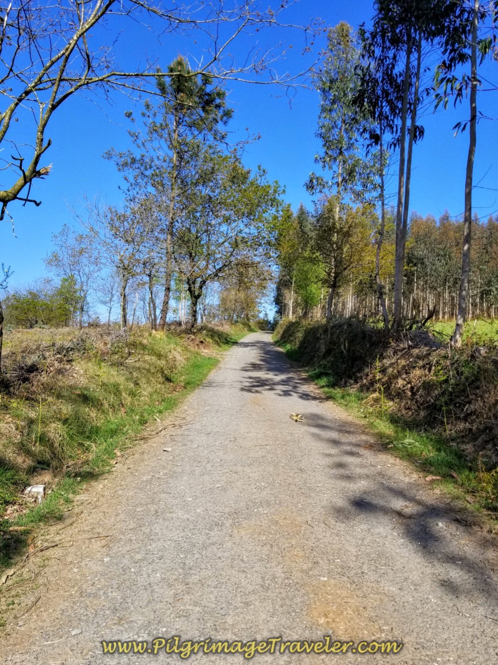 The Climb Steepens on day six of the Camino Inglés