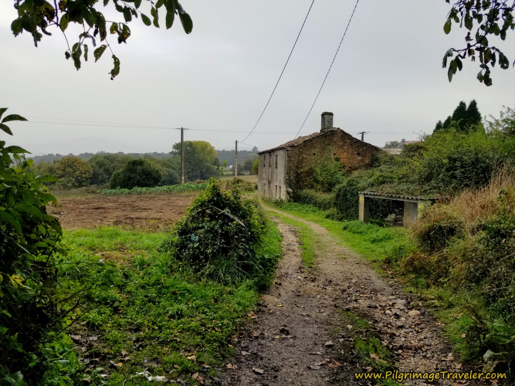 The Next Lane Onward from Prado