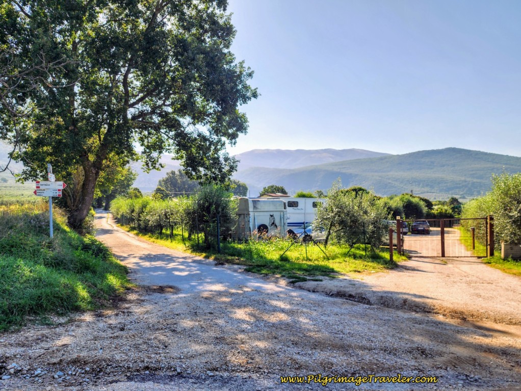 Way of St. Francis: Day Twelve, Spello to Trevi - Pass Equestrian Center