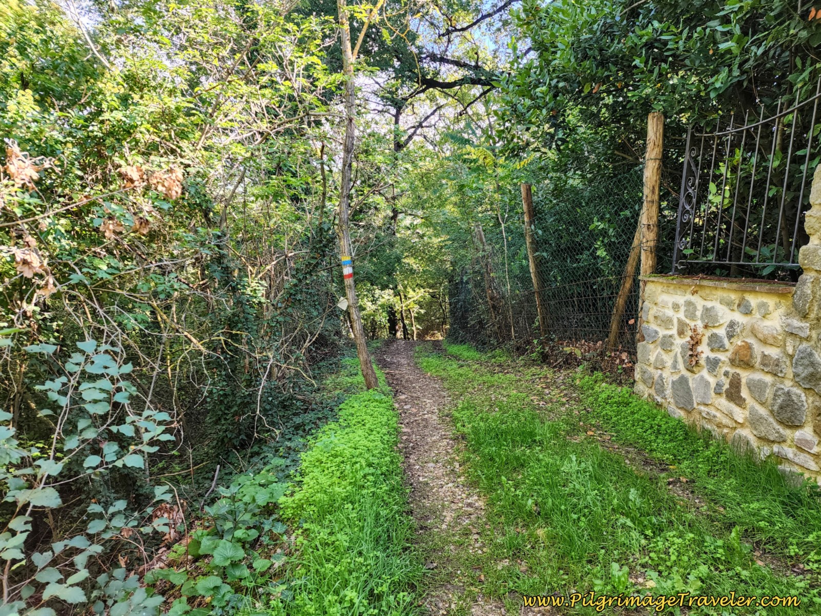 Narrow Path at Summit