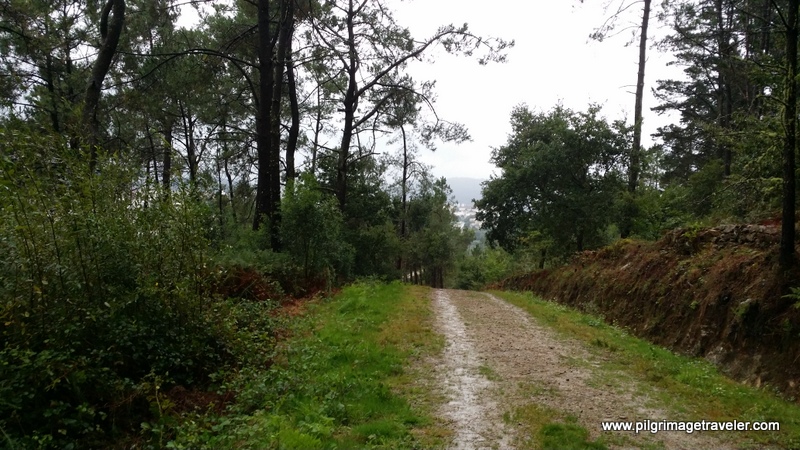 Road down Monte Pedroso to Santiago de Compostela, Galicia, Spain
