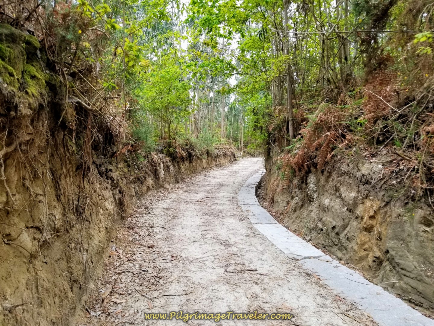 Pathway Towards Roxos and Café Os Arcos on day one of the Camino Fisterra