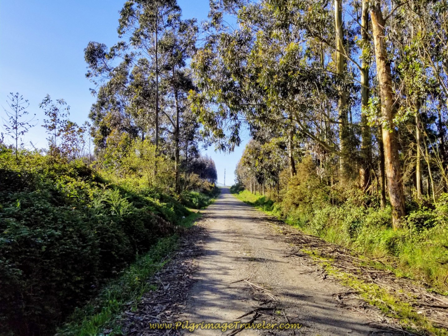 Radio Tower Ahead! This Must Be the Top on day two of the La Coruña Arm of the Camino Inglés