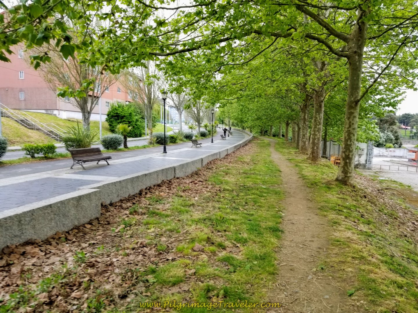 Re-join Avenida do Mar on Side Path on day one of the Camino Inglés Re-join Avenida do Mar on Side Path on day one of the Camino Inglés