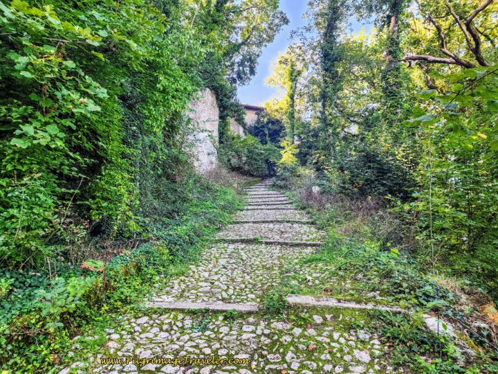 Way of St. Francis: Day Eighteen, Poggio Bustone to Rieti - Stairway to the Santuario della Foresta