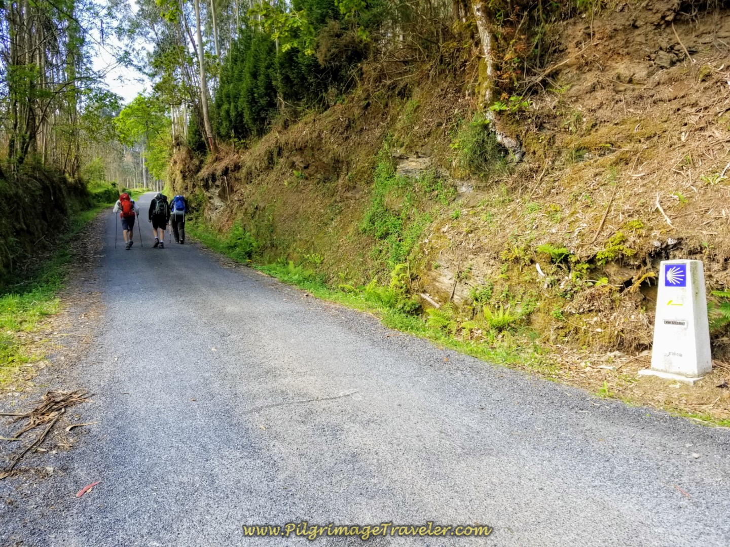 Second Half of Steep Climb Begins at 69 Kilometer Marker on day four of the English Way