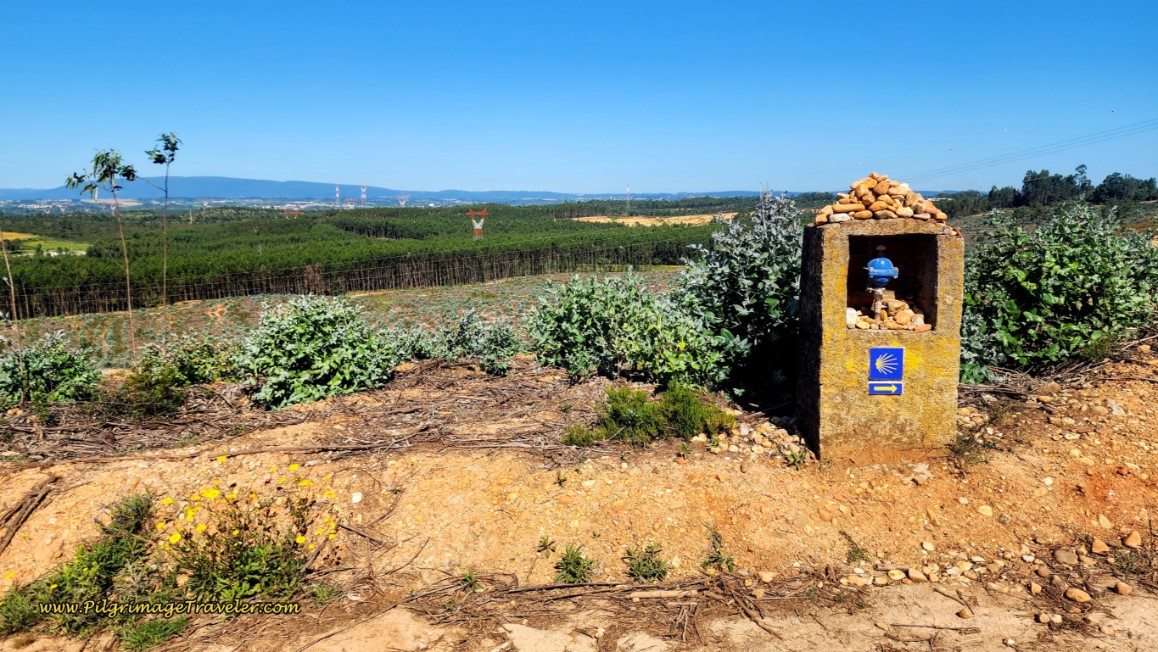 The Top of the Final Big Climb