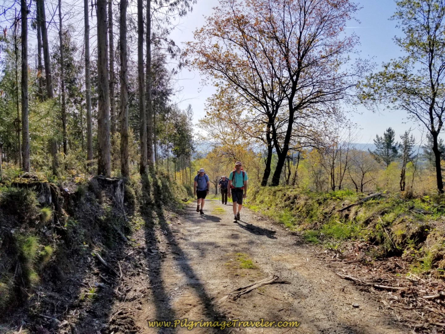 Long, Never-Ending Push on day six of the Camino Inglés