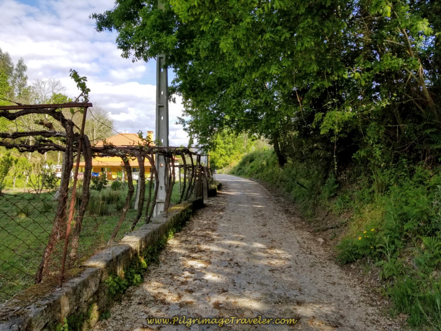 Picking Up Another Dirt Lane Through Countryside, leaving Paços on day nineteen on the Central Route of the Portuguese Camino