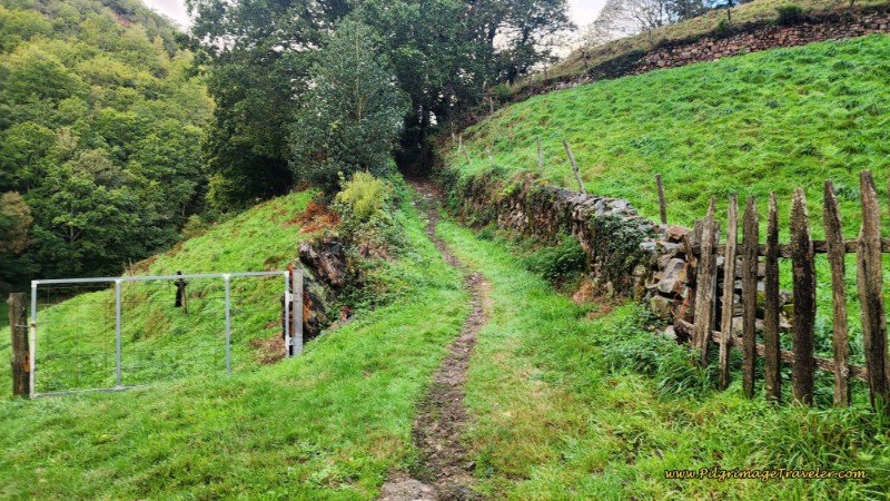 Path Toward the Albergue