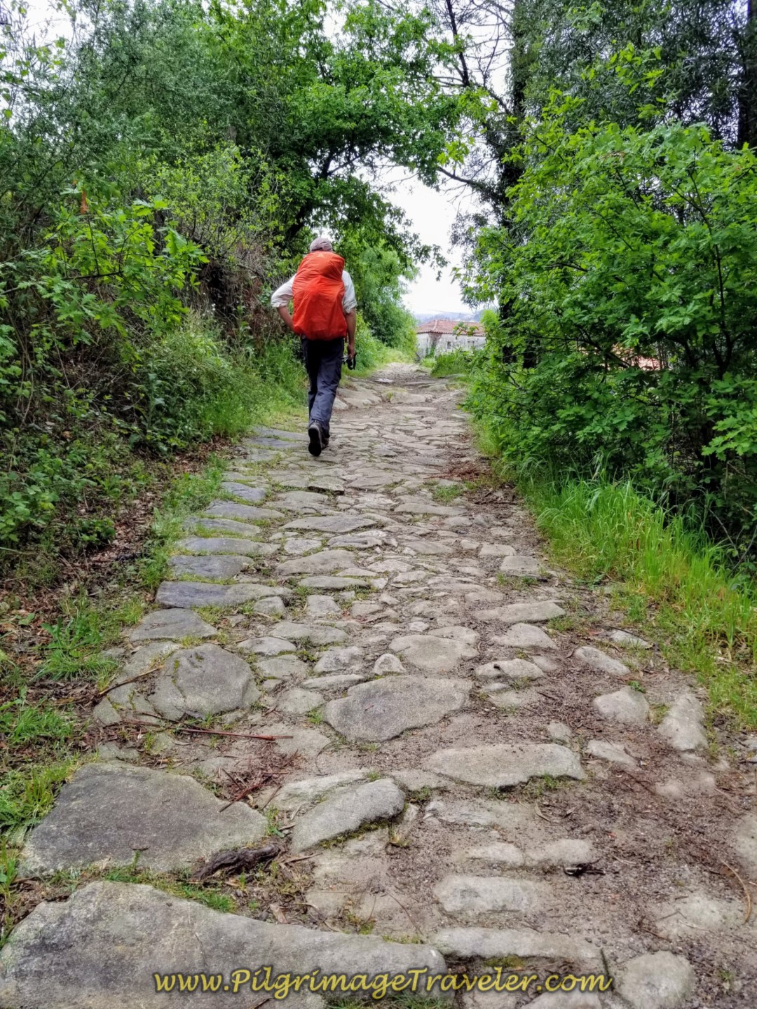 More Cobblestone on day eighteen on the Central Route of the Portuguese Camino