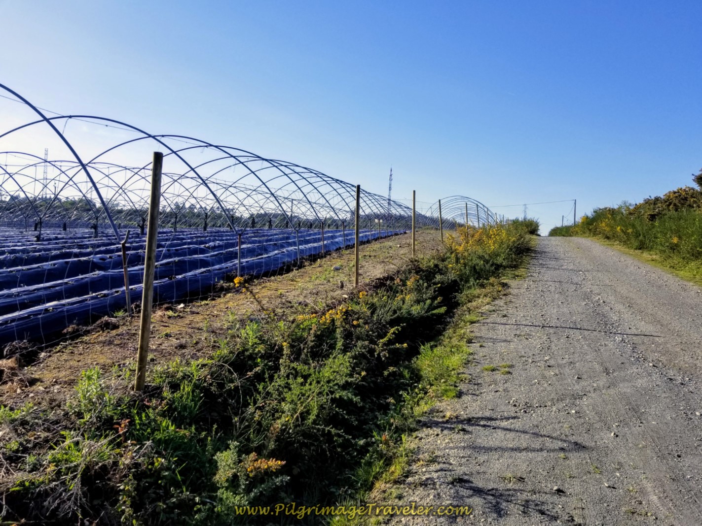 Large Agricultural Area on day two of the La Coruña Arm of the Camino Inglés