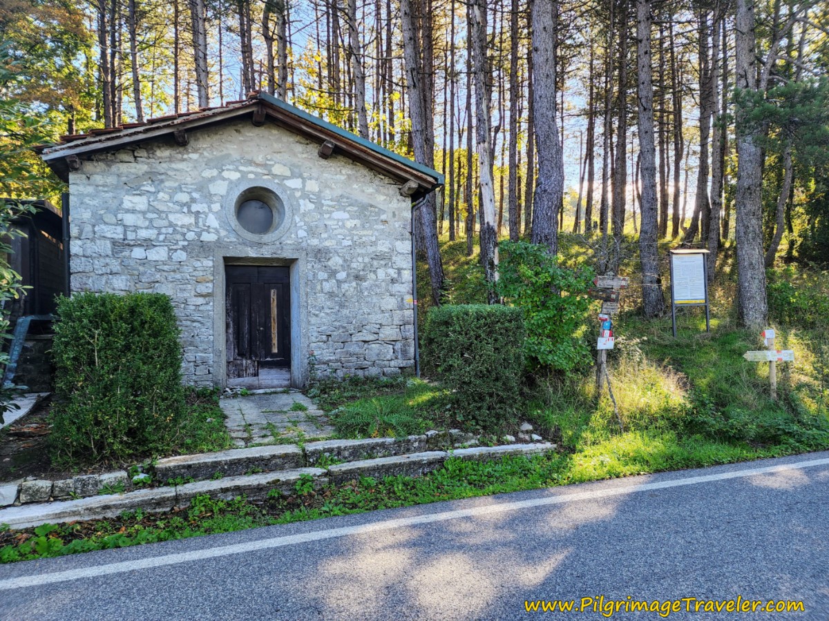 Back into the Woods at Chapel