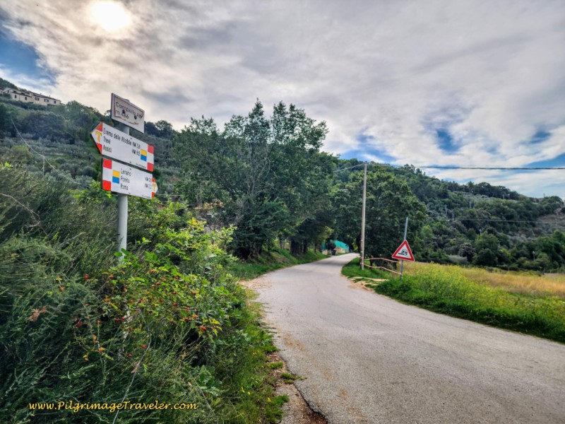 Left Turn, Bottom of the 2nd Descent Left Turn, Bottom of the 2nd Descent