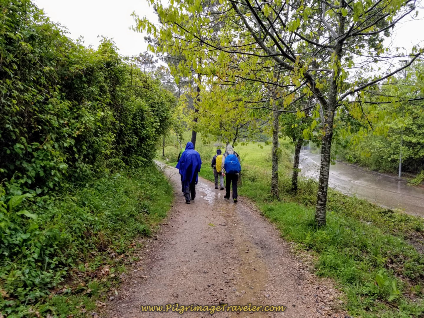 Second Brief Off-Pavement Section on day twenty-one of the central route of the Portuguese Camino