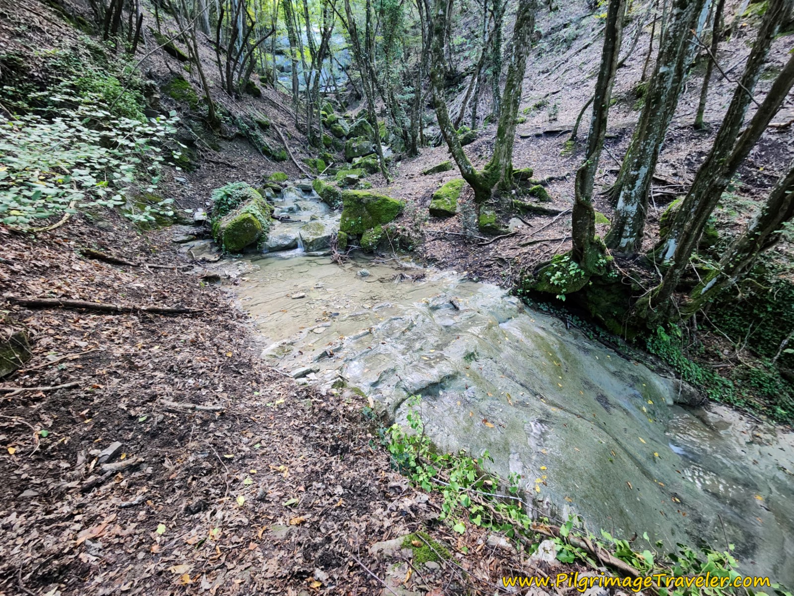 The Drainage that is Too Far