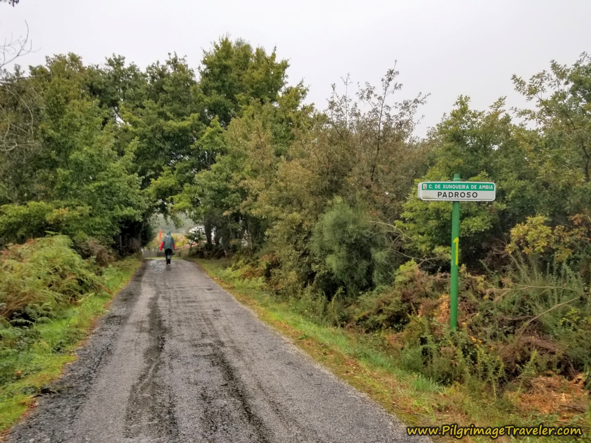 Entering Padroso, Camino Sanabrés, Vilar de Barrio to Xunqueira de Ambía