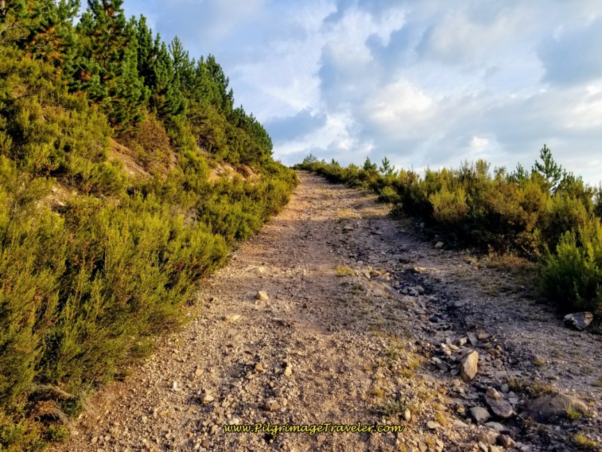 Halfway to the Top on El Cuchillo