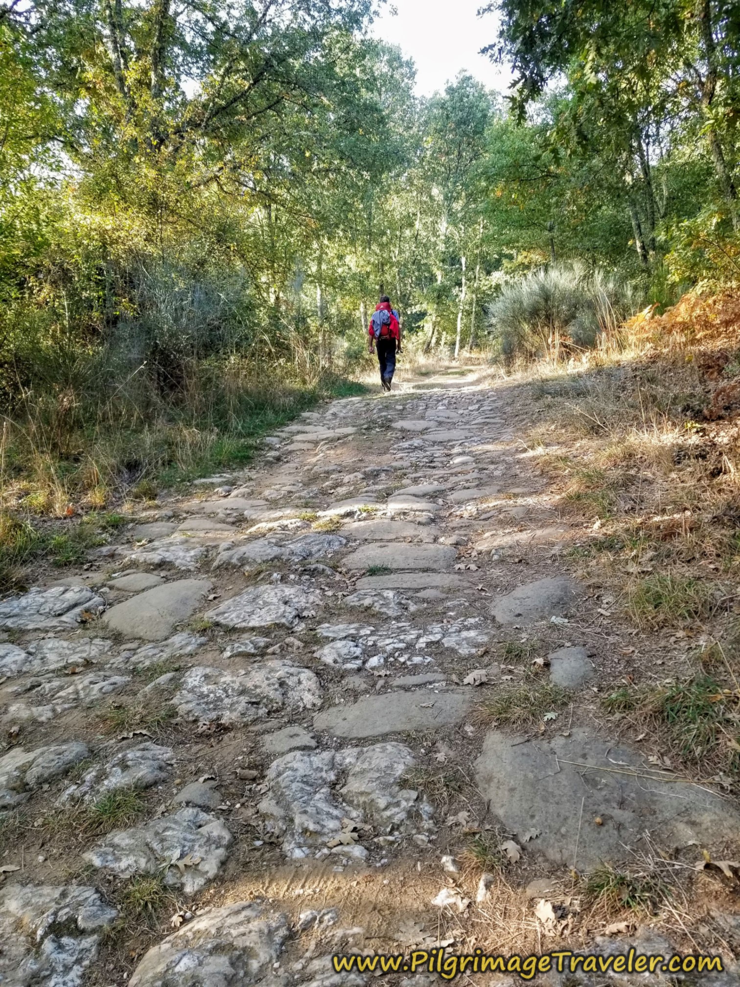 Join Roman Road on the Camino Sanabrés from Entrepeñas to Puebla de Sanabria