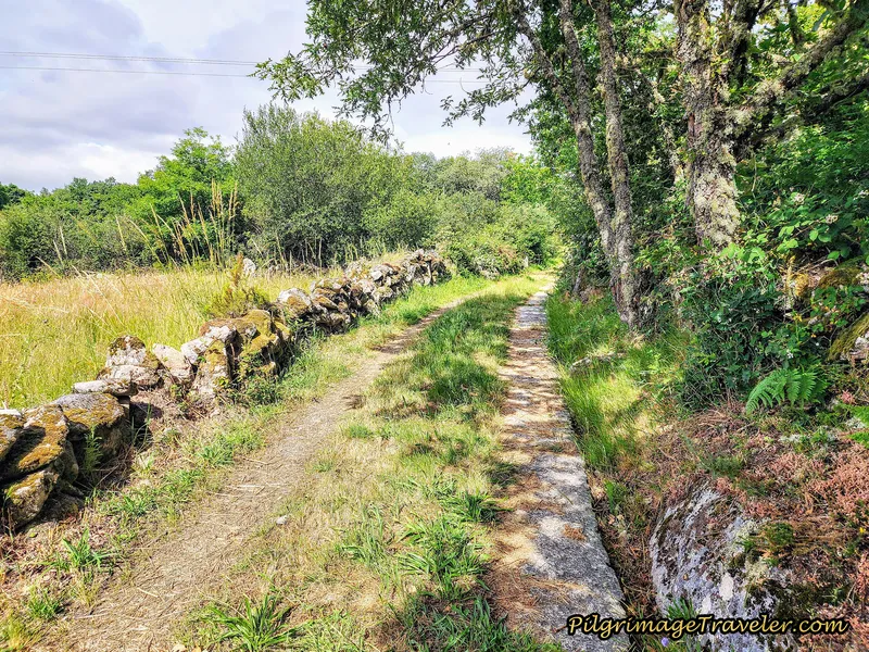 Lane Leaving Alberguería, Camino Sanabrés, A Laza to Vilar de Barrio