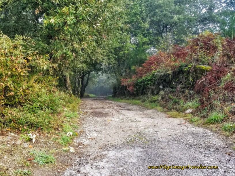 Leave the OU-0526 on this Lane