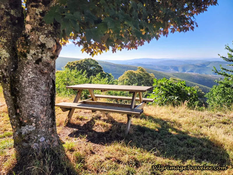 Picnic with a View