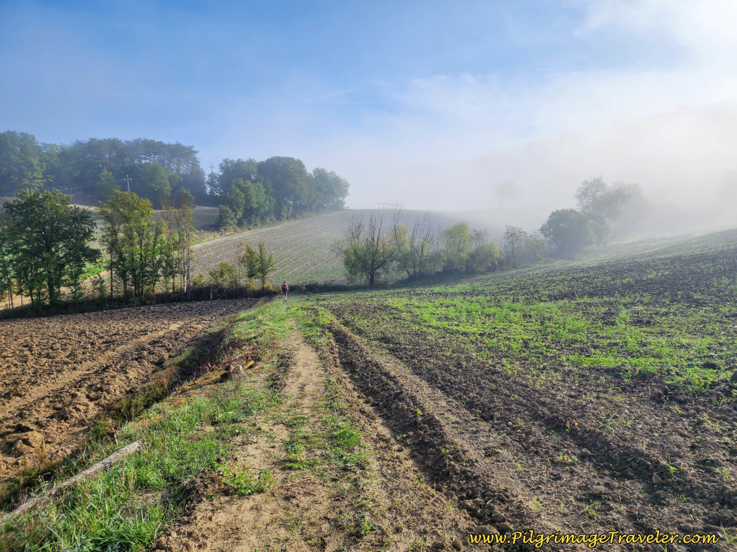 Muddy Paths Through Fields