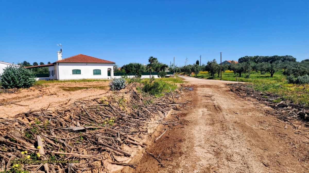 Departing the Rural Lanes and Entering Grou