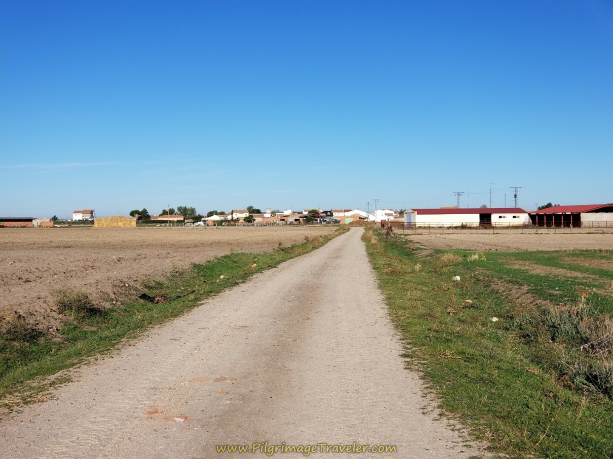 Papatrigo on day two of the Camino Teresiano