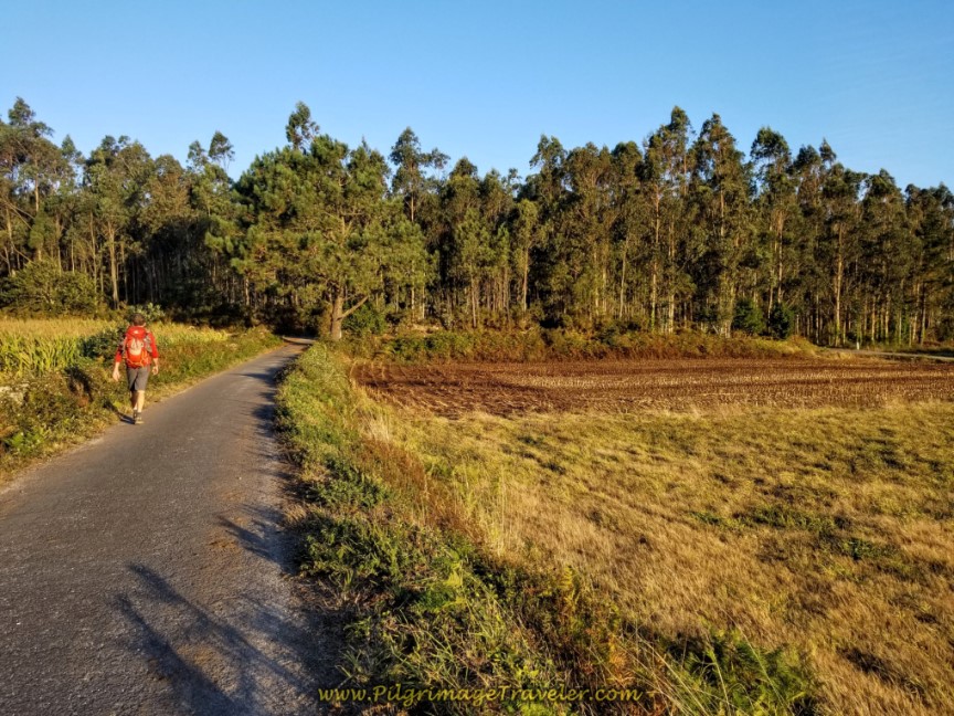 Quiet Country Road Through Fields Toward Senande