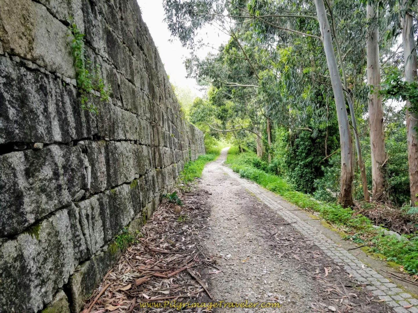 Side Path Continues on the Avenida do Mar on day one of the Camino Inglés Side Path Continues on the Avenida do Mar on day one of the Camino Inglés