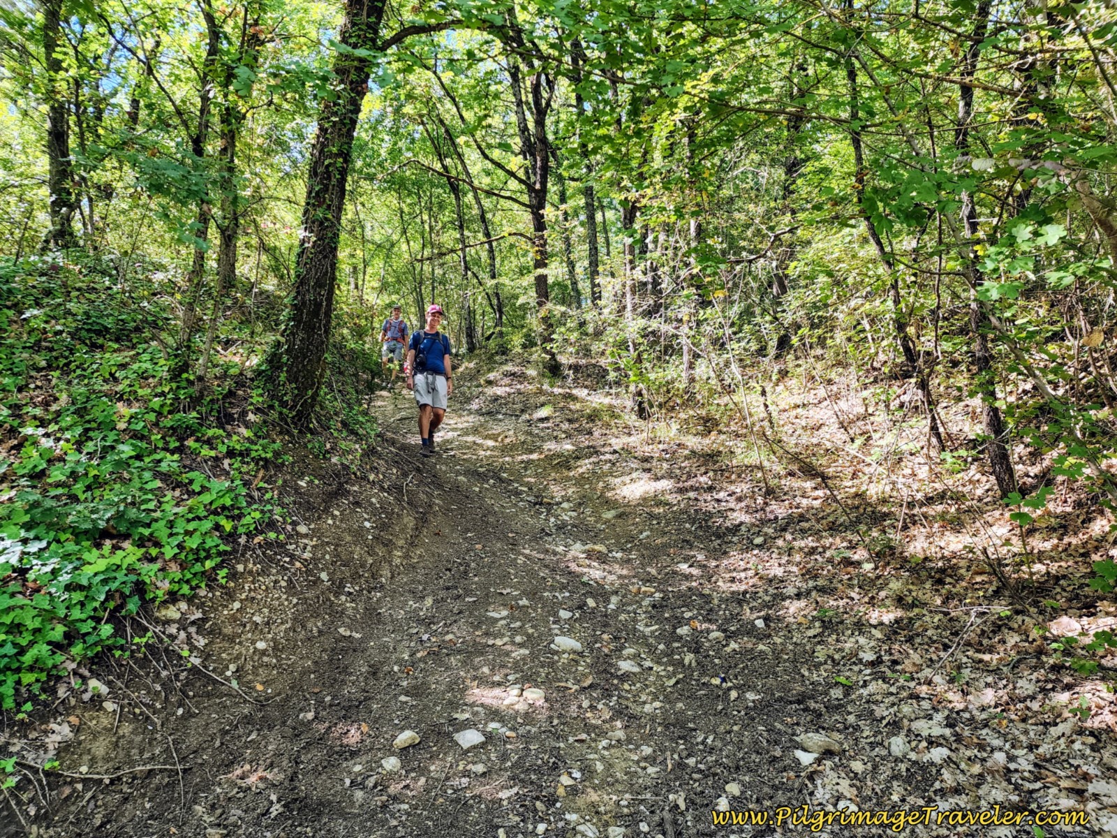 Steep Drop on the Other Side on day four of the Way of St. Francis from Sansepolcro to Citerna.