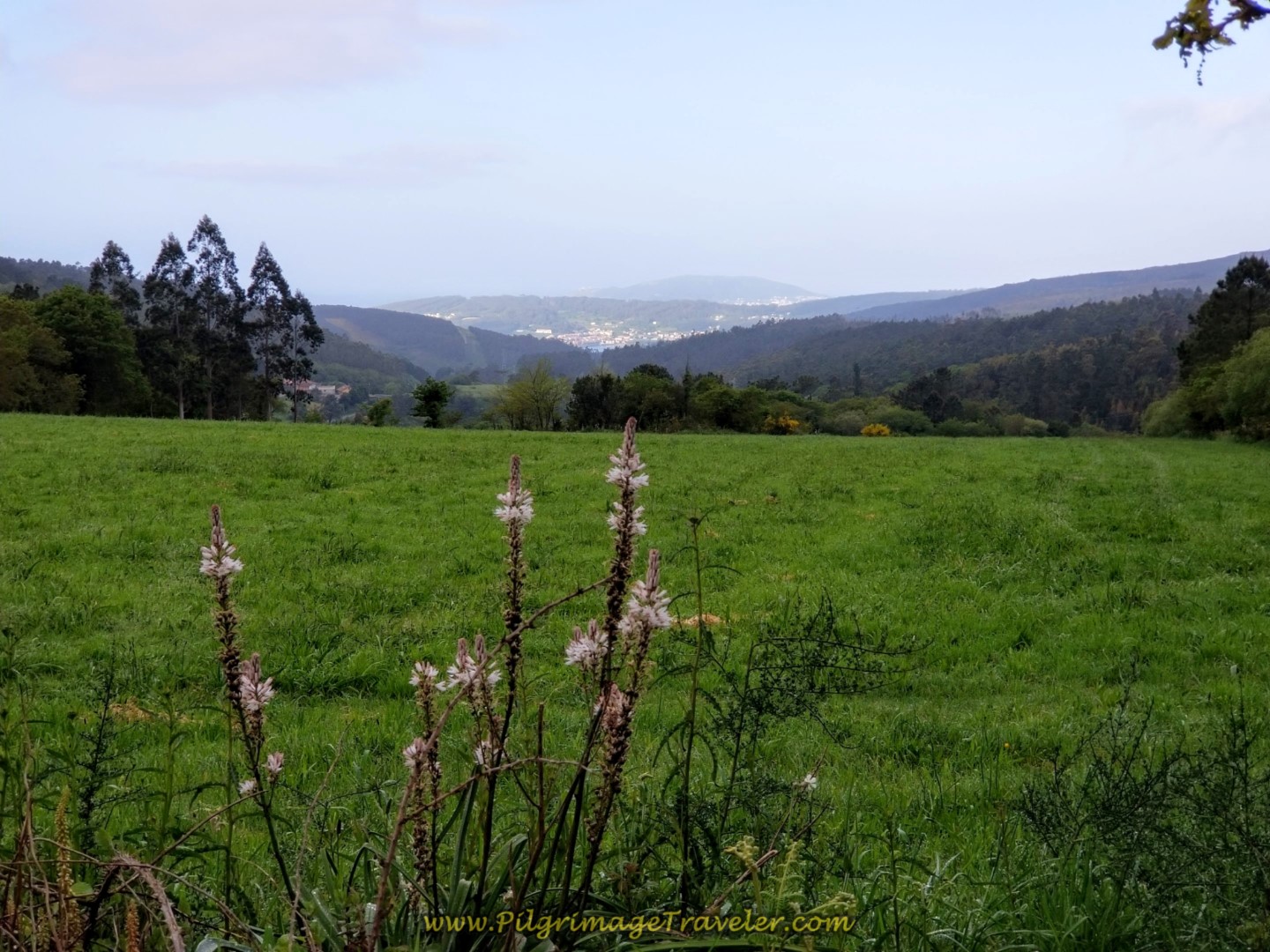 Open Views Continue to Abound