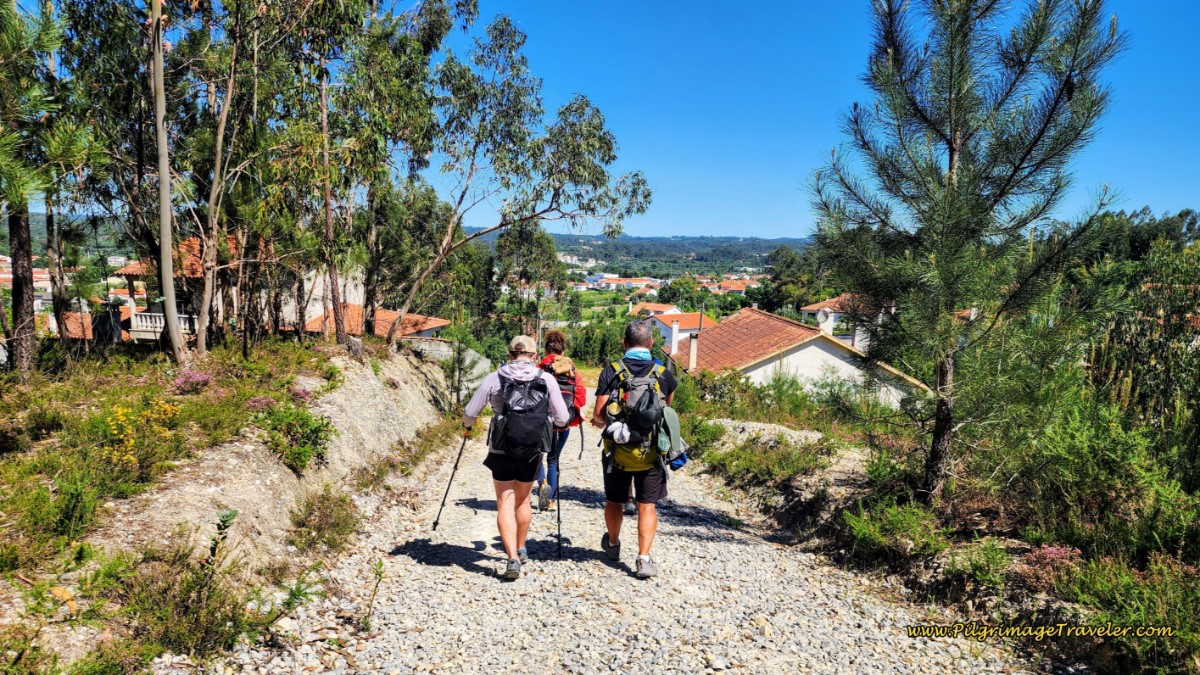 Left Turn Ahead Towards Ansião