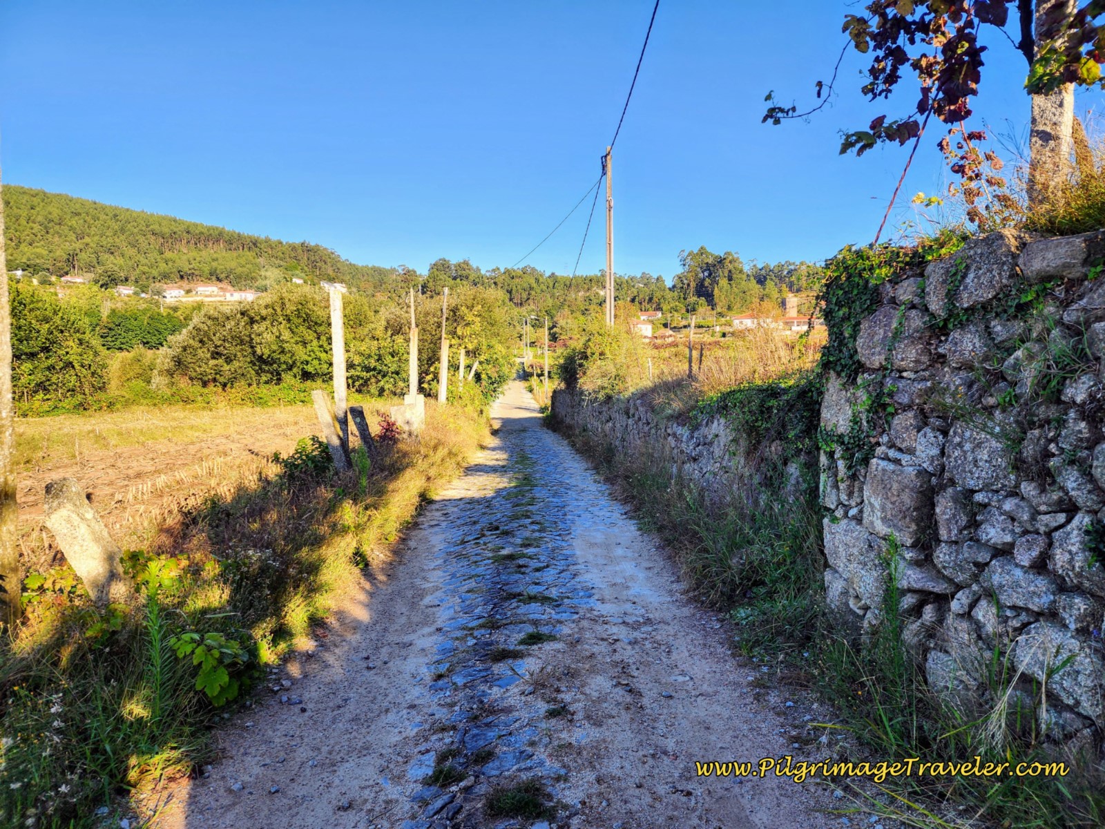 Country Cobblestone Lane after Tamel Church
