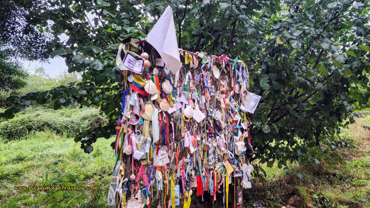 Pilgrim Tributes and Remembrances