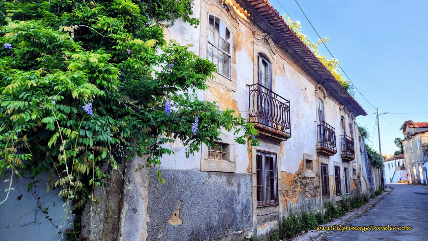 Historic Estate Along the Rua Dom Manuel
