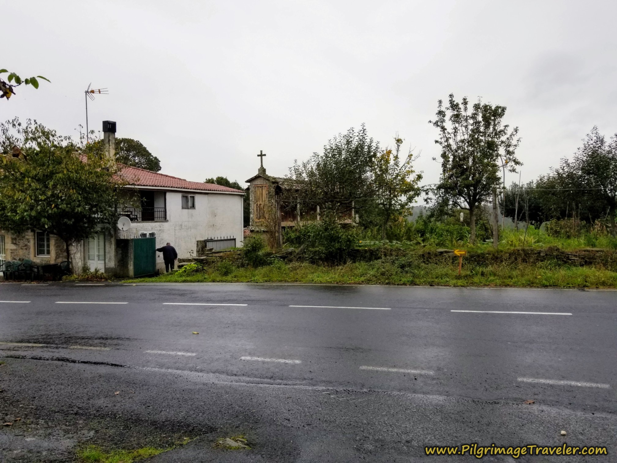 Come Out in Borralla, Turn Left Come Out in Borralla, Turn Left