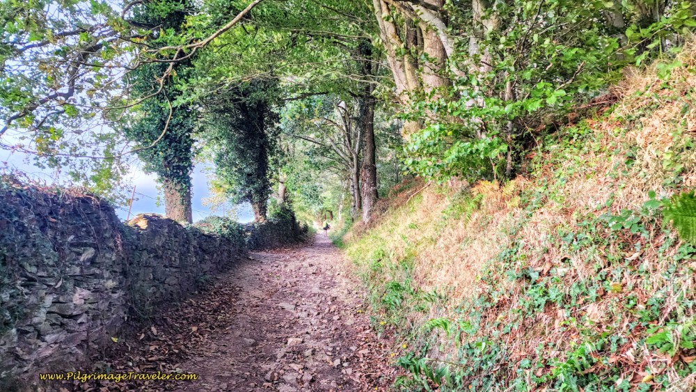 High-Walled Section of Trail