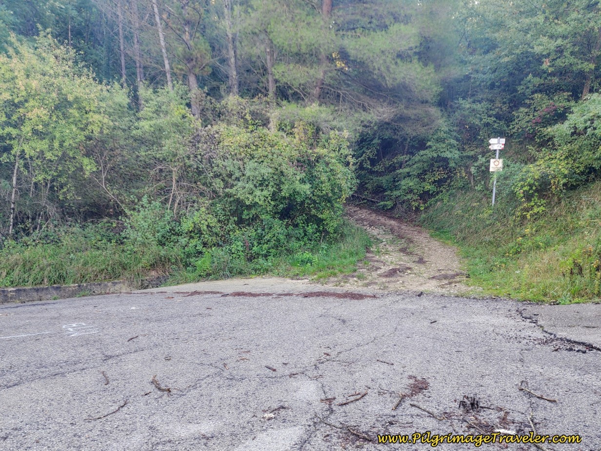 The Longer, Standard Route Joins Pavement Here by the Dam