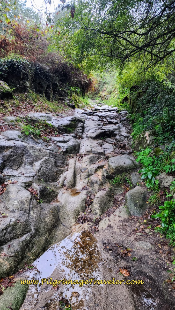 Ancient Road Wagon Ruts