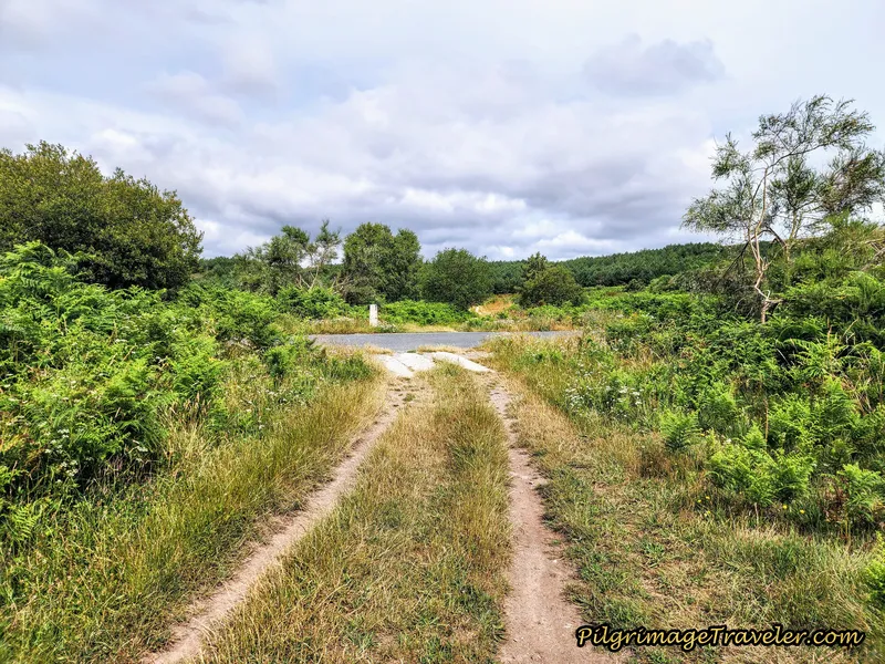 Cross Over Paved Side Road
