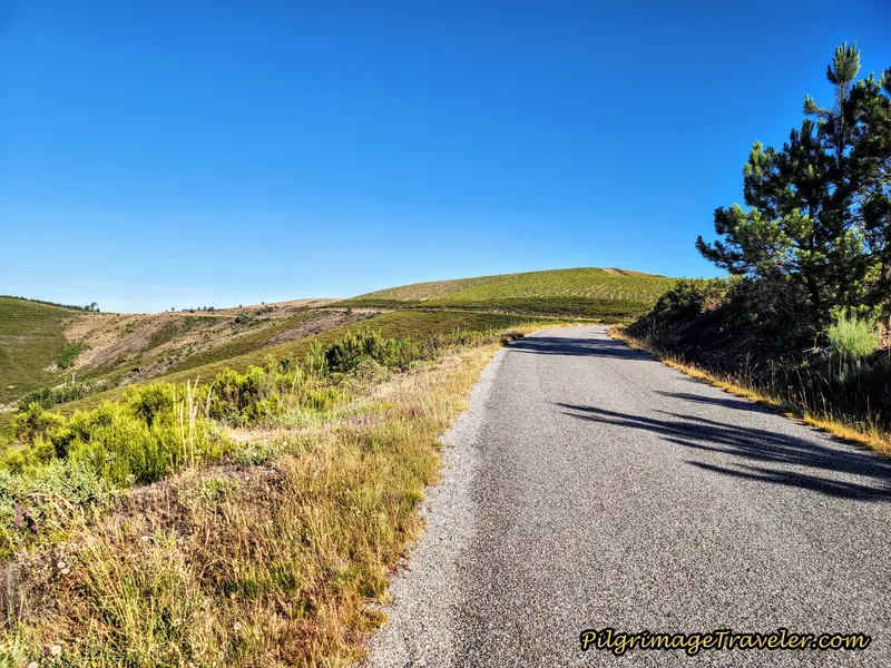 Onward Ridge Road