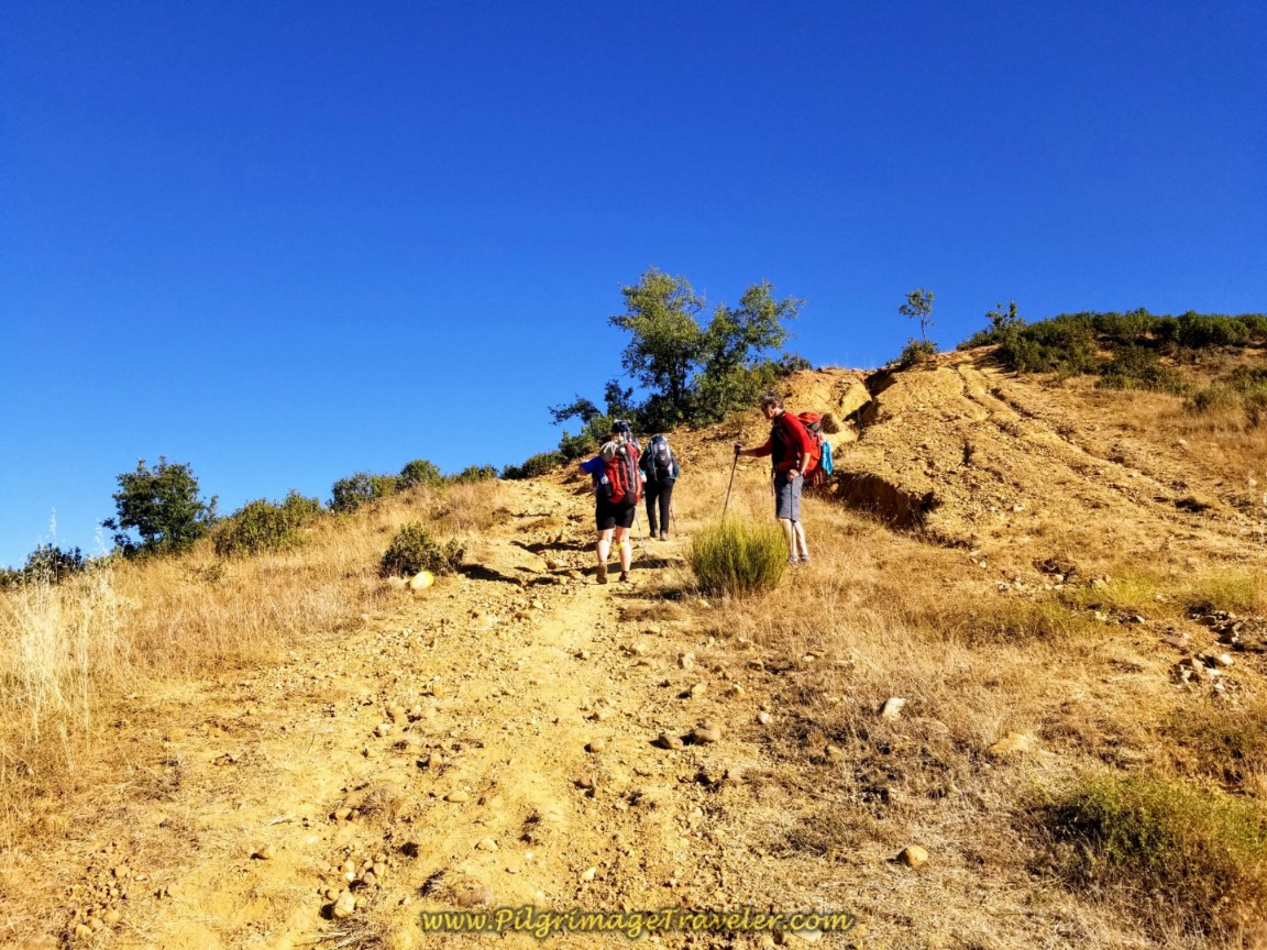 Turn Left, Avoiding Rugged Top